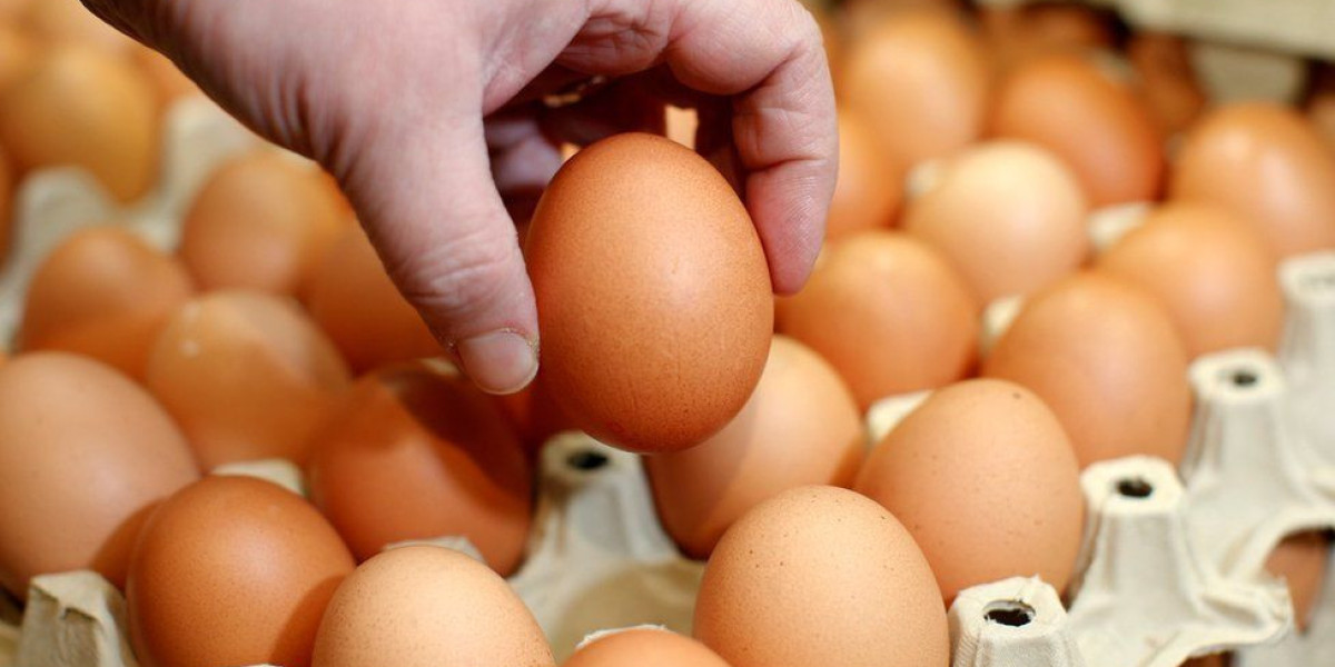 Eggsciting Innovations: Exploring the World of Vegan Egg Alternatives