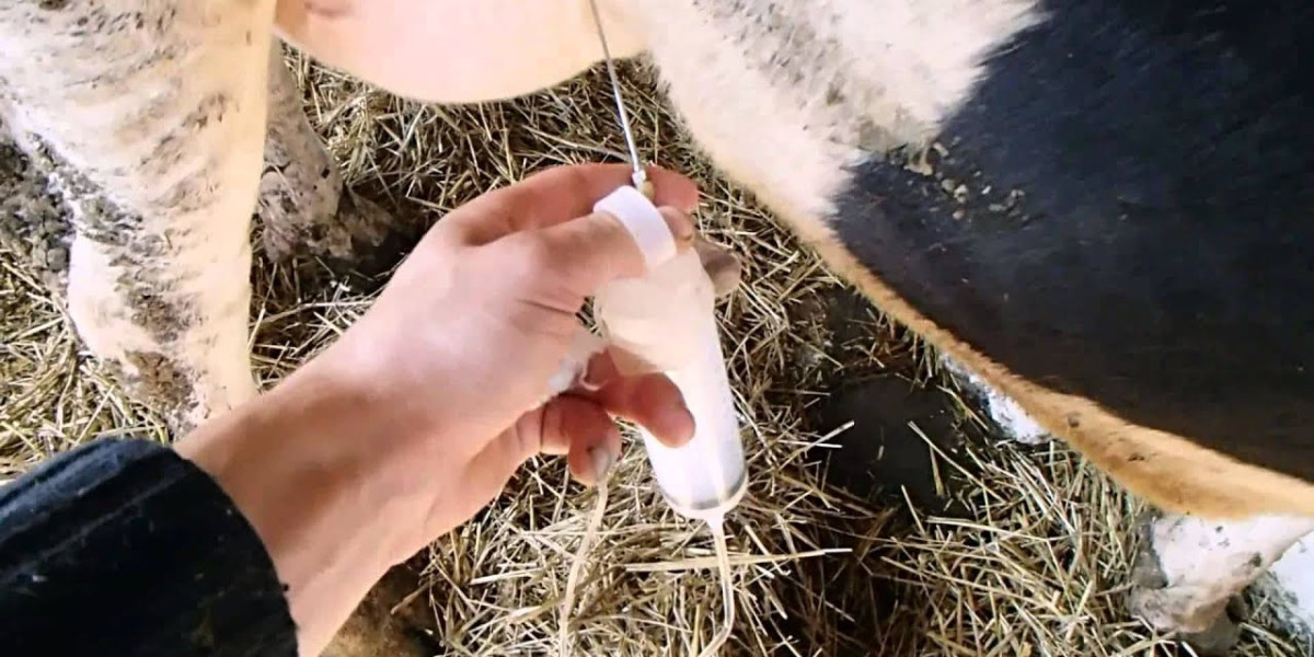 Udderly Important: Innovations and Strategies in the Bovine Mastitis Market