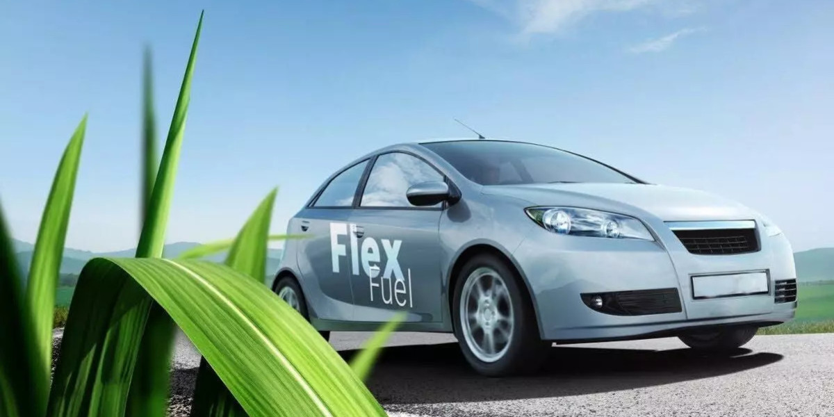 Sustainable Energy Shift: Exploring Brazil's Flexfuel Initiative