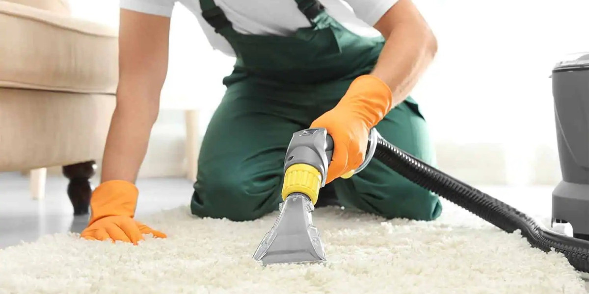Carpet Cleaning in Burlington: Tips and Tricks