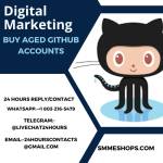 GitHub Accounts