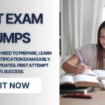 Best Exam Dumps Websites