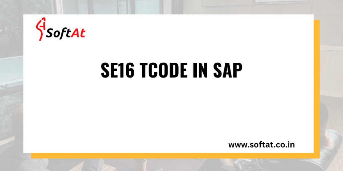 The Power of SE16: A Comprehensive Guide to SAP Table Viewing 