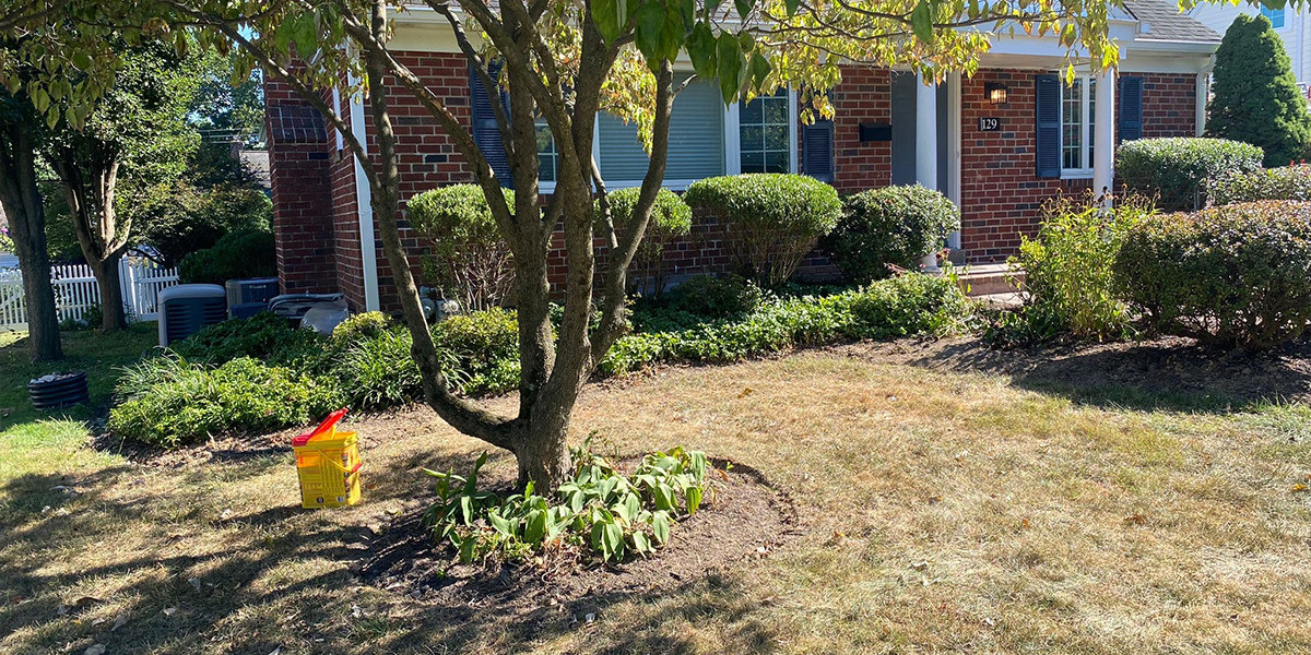 Delaware Lawn Care Companies keep the residential home lawns clean & hygienic