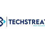 Techstreat web solutions