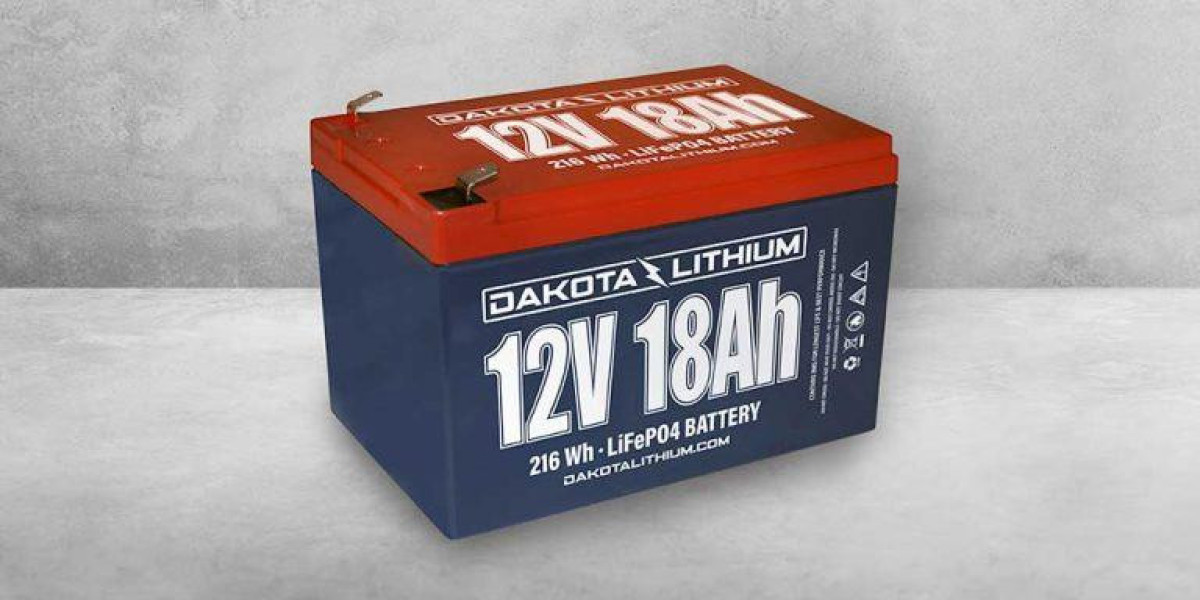 From Spark to Surge: Exploring the Dynamics of 12V Battery Systems