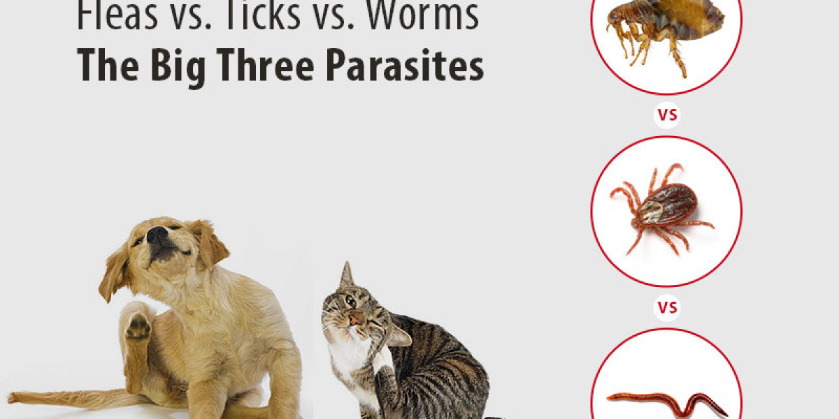 Unveiling Dynamics: A Deep Dive into the Global Flea, Tick, and Heartworm Products Market