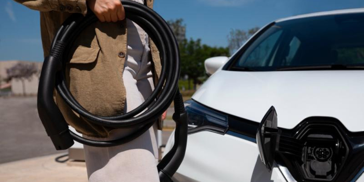 Electric Car Onboard Charger Market Insights BEV and PHEV Adoption Boosting Demand
