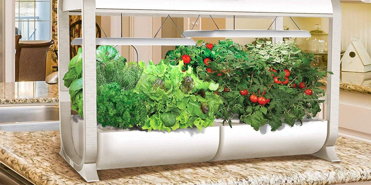 Elevate Your Green Thumb Game with the Smart Indoor Gardening System