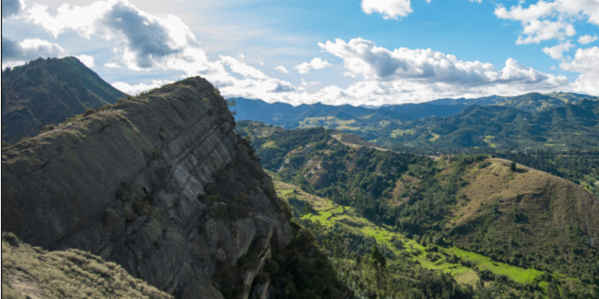 Explorando la Riqueza Natural de Colombia: La Sinergia entre Mapas Geológicos y de Biodiversidad
