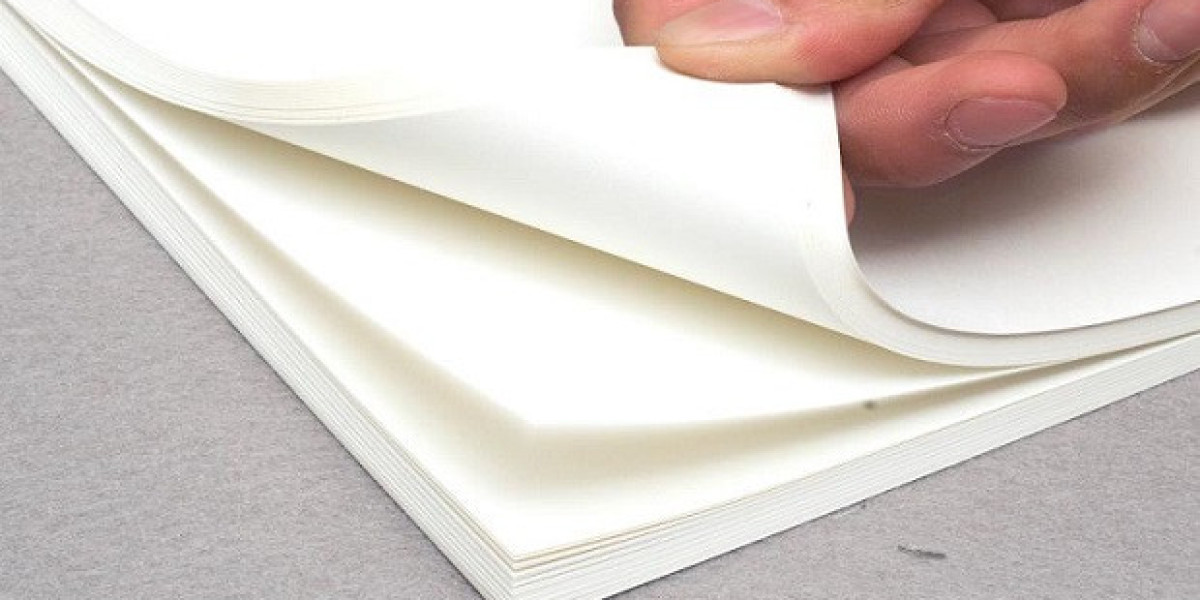 Seal Paper Market: Eco-Friendly Packaging Solutions Driving Growth
