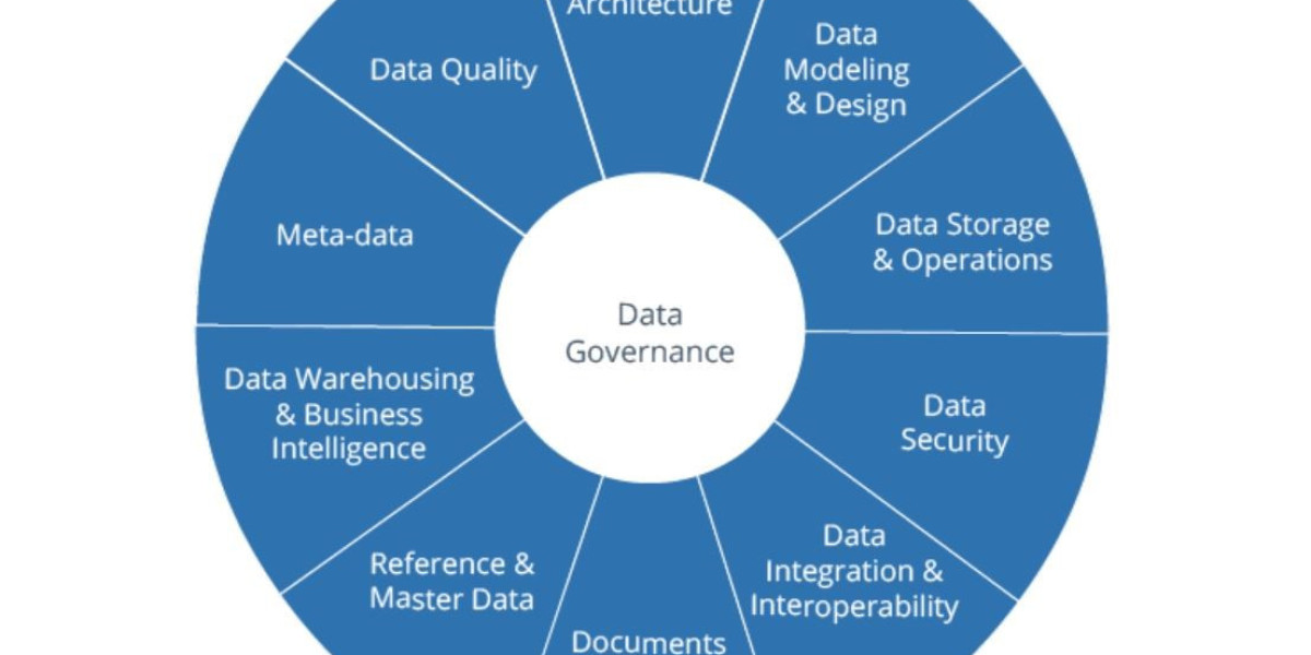 Mastering Data: Exploring the Dynamics of the Data Governance