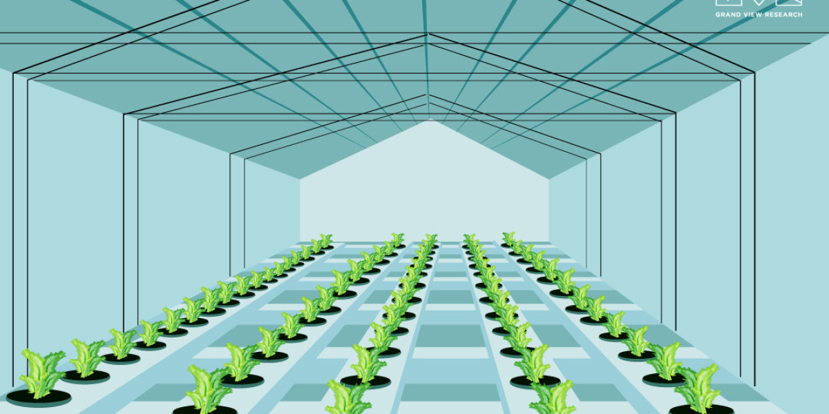 Hydroponics Market Size is Predicted to Witness 12.4% CAGR till 2030