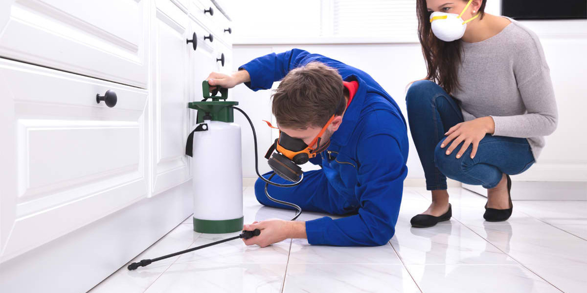 Residential Pest Control Experts In Ohio