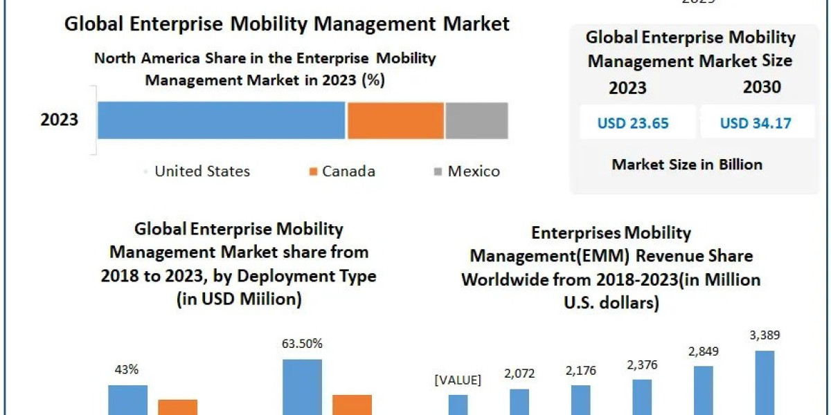 Enterprise Mobility Management Market Industry Demand, Fastest Growth and Forecast To 2030