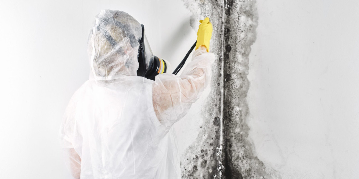 Mold Restoration: Restoring Health and Safety to Your Space