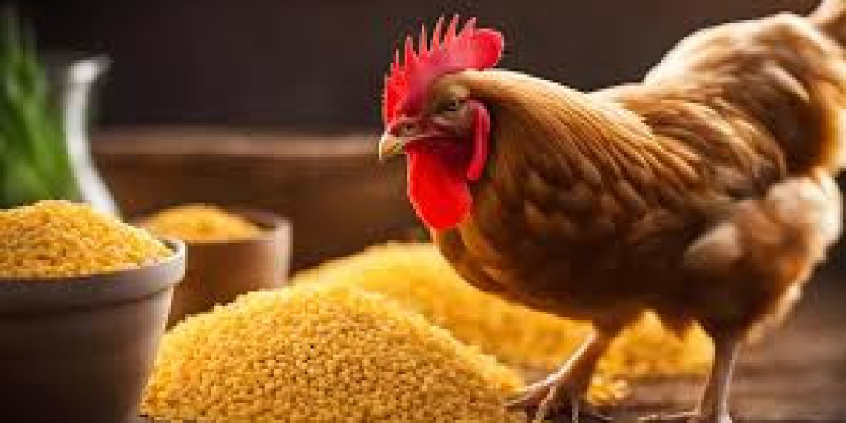 Poultry Feed Market  Growth Share and Trends (2023-2030)