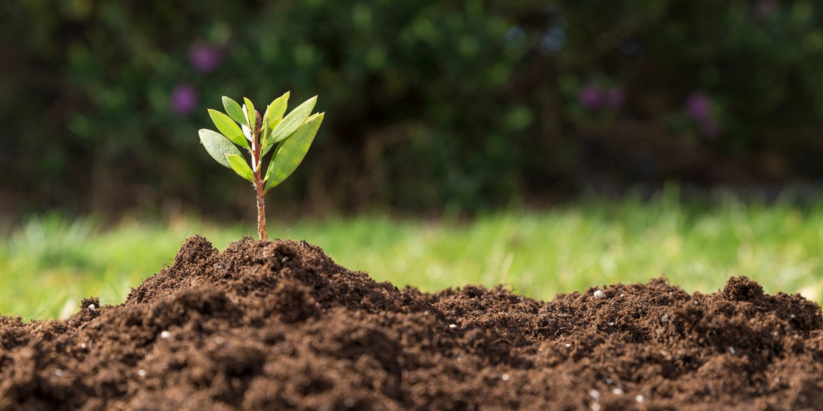 Unlocking Garden Success: The Power Of Premium Potting Soils