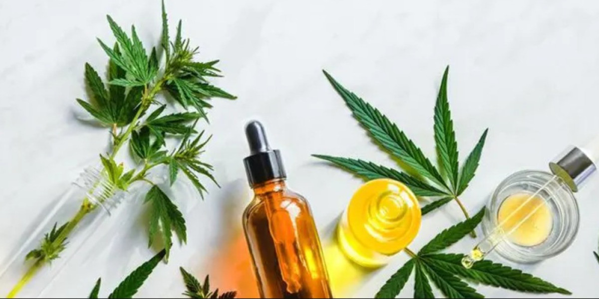 Unveiling the Source: How Cannabis Drives Fortune Flavours’ CBD Wholesale Strategy