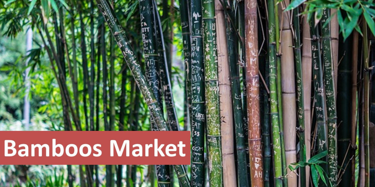 Bamboos Market Size, Share Analysis, Industry Growth and Scope from 2024 to 2030