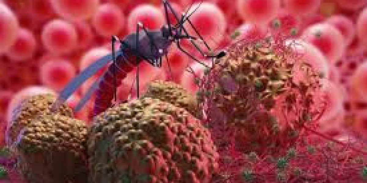 Dengue Fever Market Size, Opportunity, Research Report and Industry Trends 2024-2034