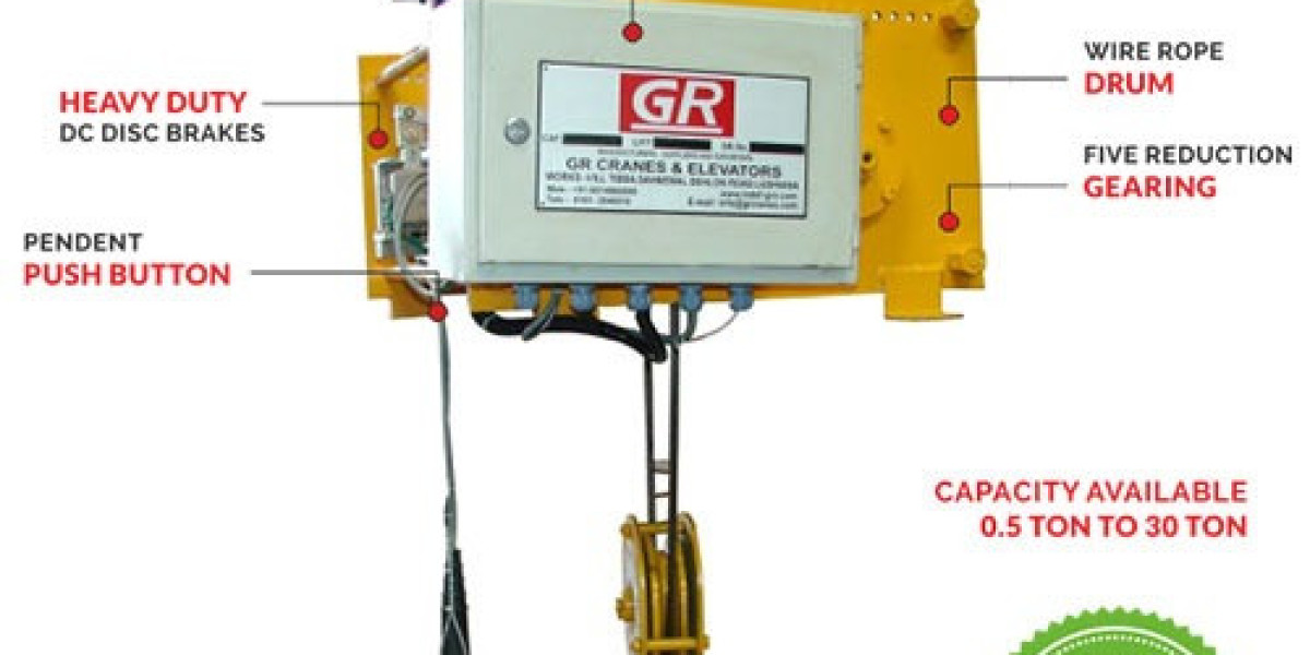 Wire Rope Electric Hoist manufacturers
