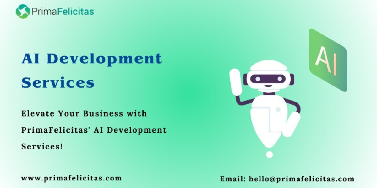Promote Your Business: Custom Software Development Services