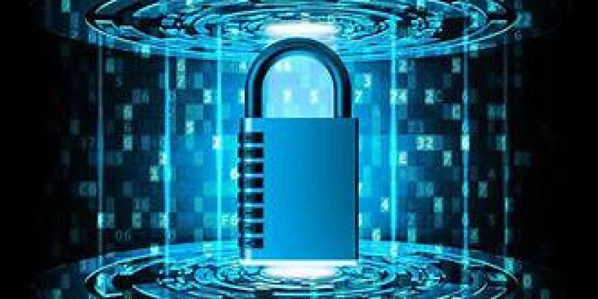 Protecting Digital Frontiers: The Imperative of Software Security