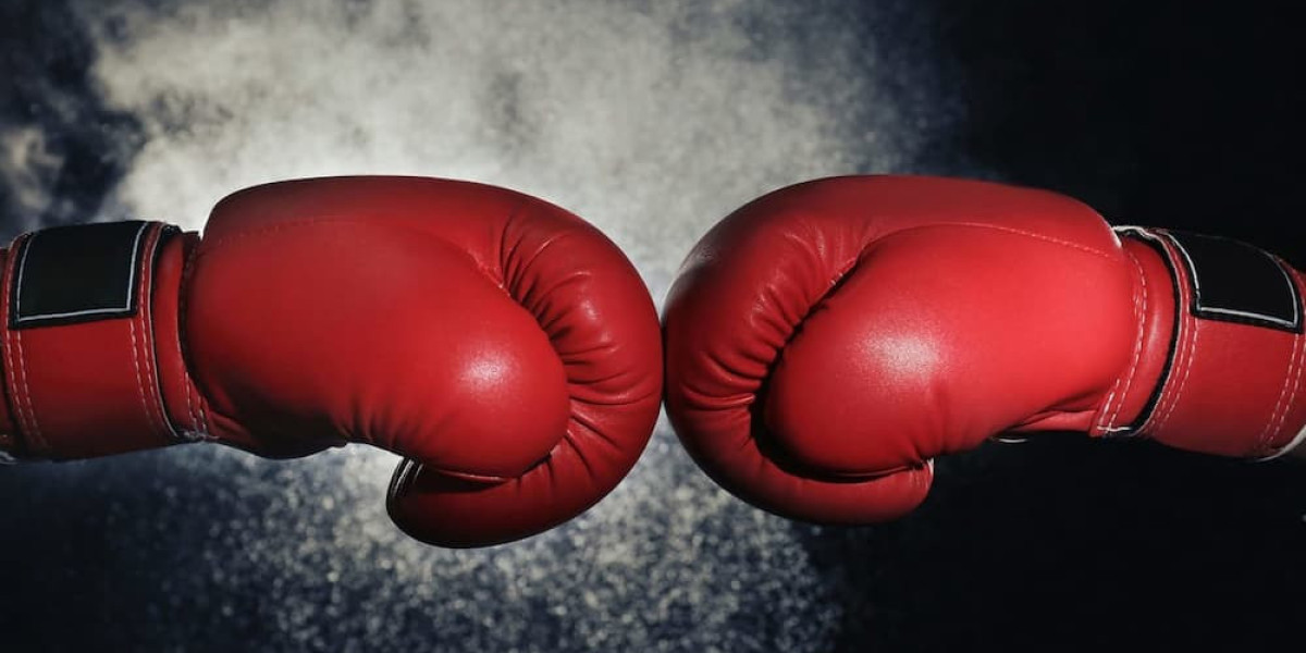 Boxing Gloves Market primed for growth driven by increasing popularity of combat sports