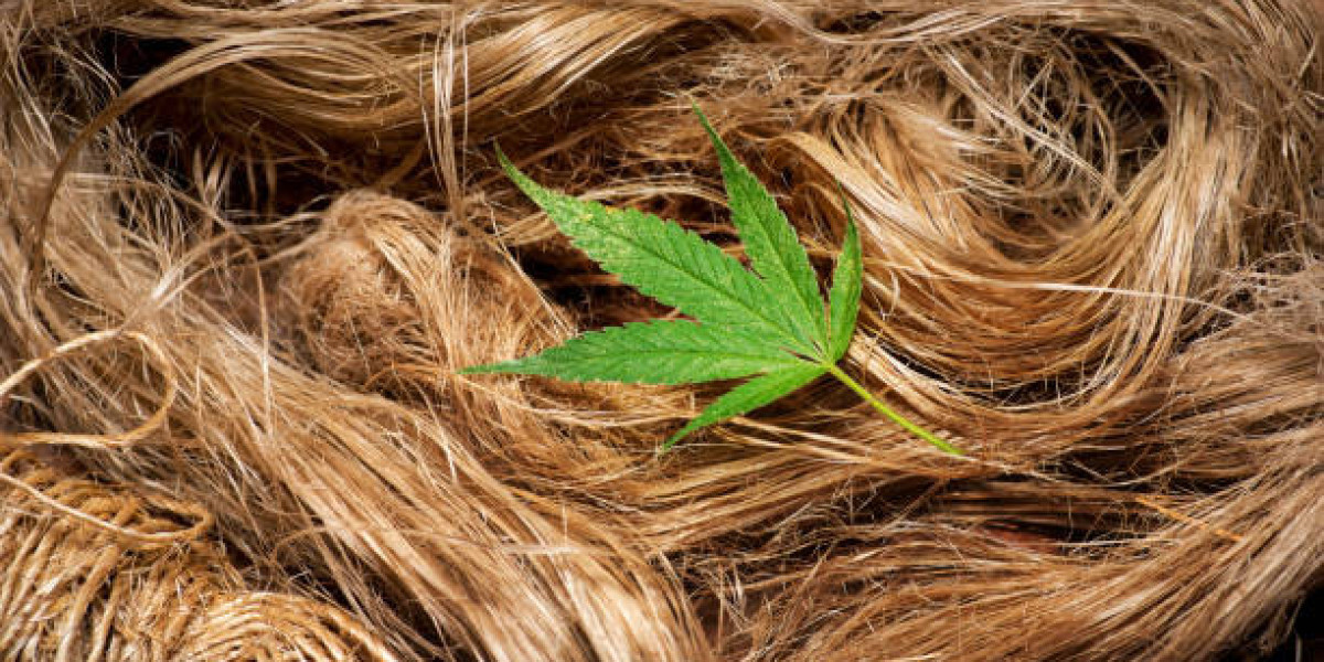Asia-Pacific Industrial Hemp Market Growth, Source, Production and Consumption, Revenue | Forecast