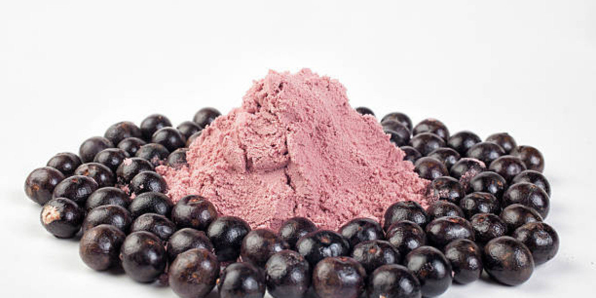 Asia-Pacific Fruit Powder Market Share, Growth, Regional Demand, Trend, Outlook with Forecast