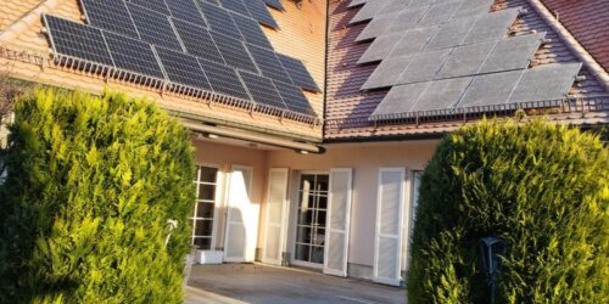 Die Sonne nutzen: Erkundung von Innovationen der Solartechnik in Halle
