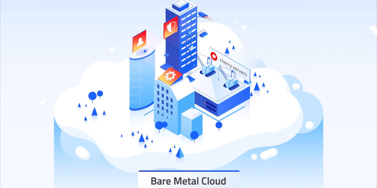 Bare Metal Cloud Market Analysis and Industry Growth Forecast by 2030