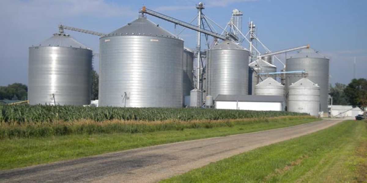 Exploring the Dynamics of U.S. Ethanol: Trends and Considerations