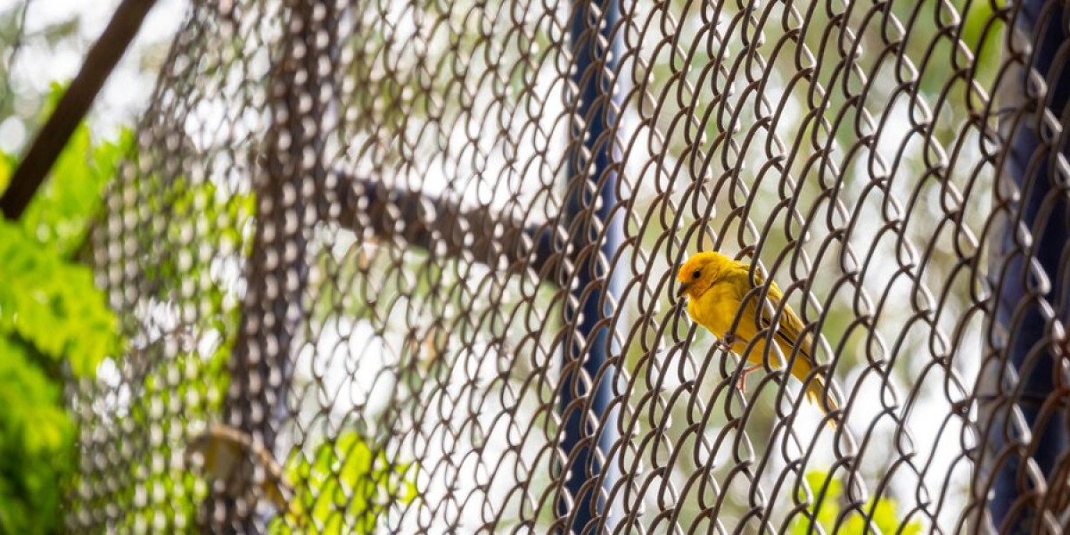 Feathered Foes: The Emerging Importance of Anti-Bird Net Manufacturers