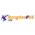 Bongdaso66 life