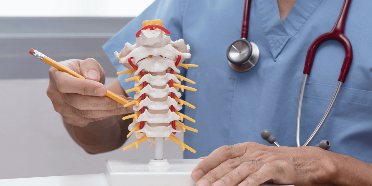 Exploring the Spinal Laminoplasty Market