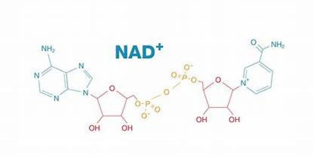 Introduction that 'ninja-like' Molecule: Visiting Nicotinamide Adenine Dinucleotide (NAD+)