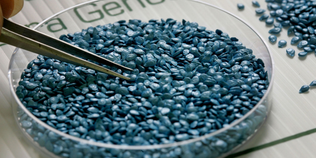 Genetically Modified Seeds Market Insights: Optimizing Plant Genetics