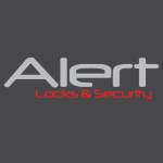 Alert Locks And Security