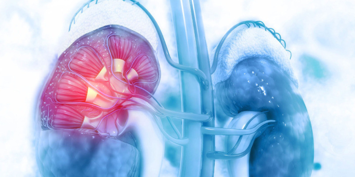 Acute Kidney Injury Market Analysis, Epidemiology, Trends and Forecast till (2024-2034)