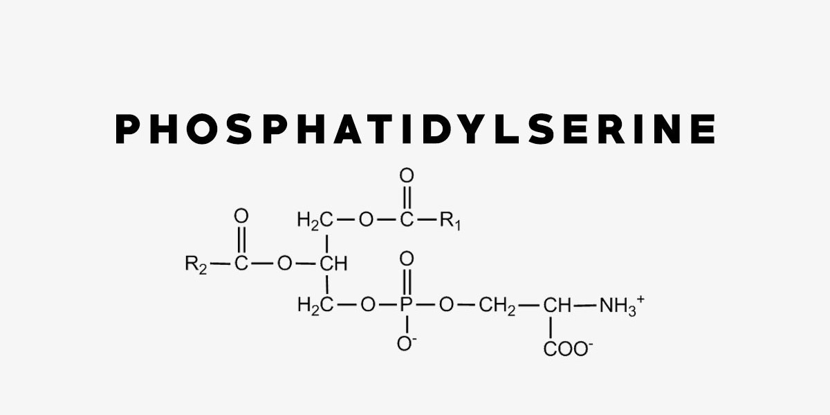Phosphatidylserine: A Promising Nutrient for Brain Health