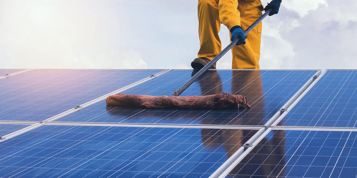 Solar Panel Cleaning Market Segment Strategies and Growth Forecasts by 2031