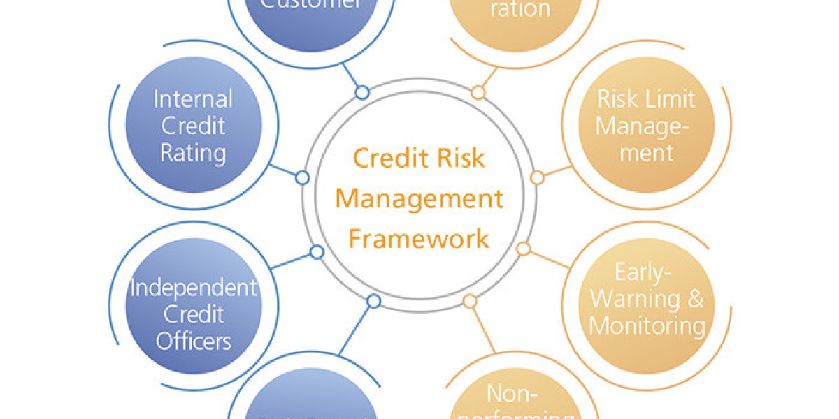 Credit Risk Assessment Market In Digital Transformation By 2024