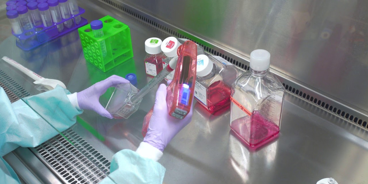 Exploring the Basics: Primary Cell Culture Techniques Demystified