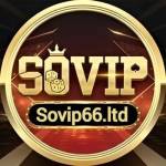 SOVIP66 Nhà Cái SOVIP