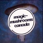 Magic Mushrooms Canada