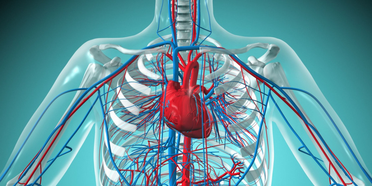The Increasing Incidence Of Cardiovascular Illnesses Is Fueling The Growing Market For Cardiac Valves.
