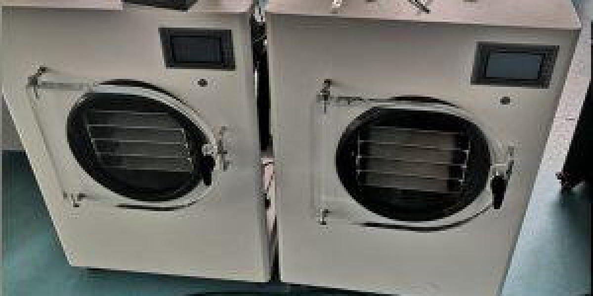 Preserve Nutrients and Flavor: Freeze Dryer for Sale