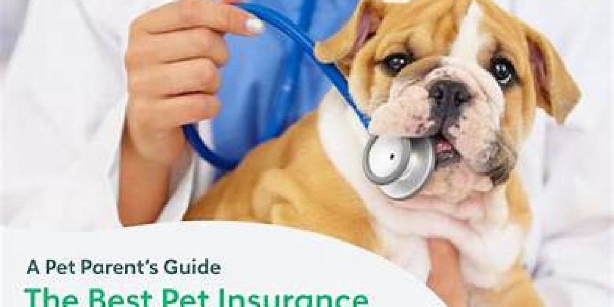 Making sure Your own Pet's Well-Being: A guide in order to Deciding on the best Pet Insurance Company